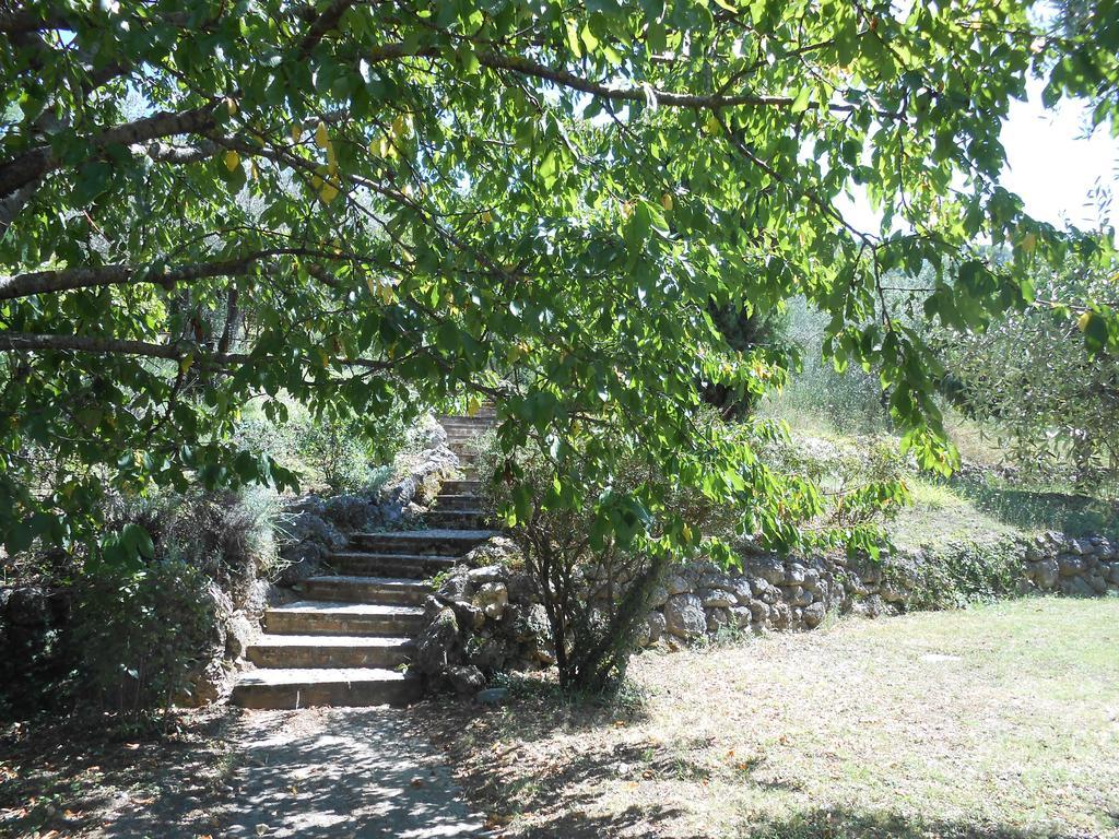 Milu Spoleto